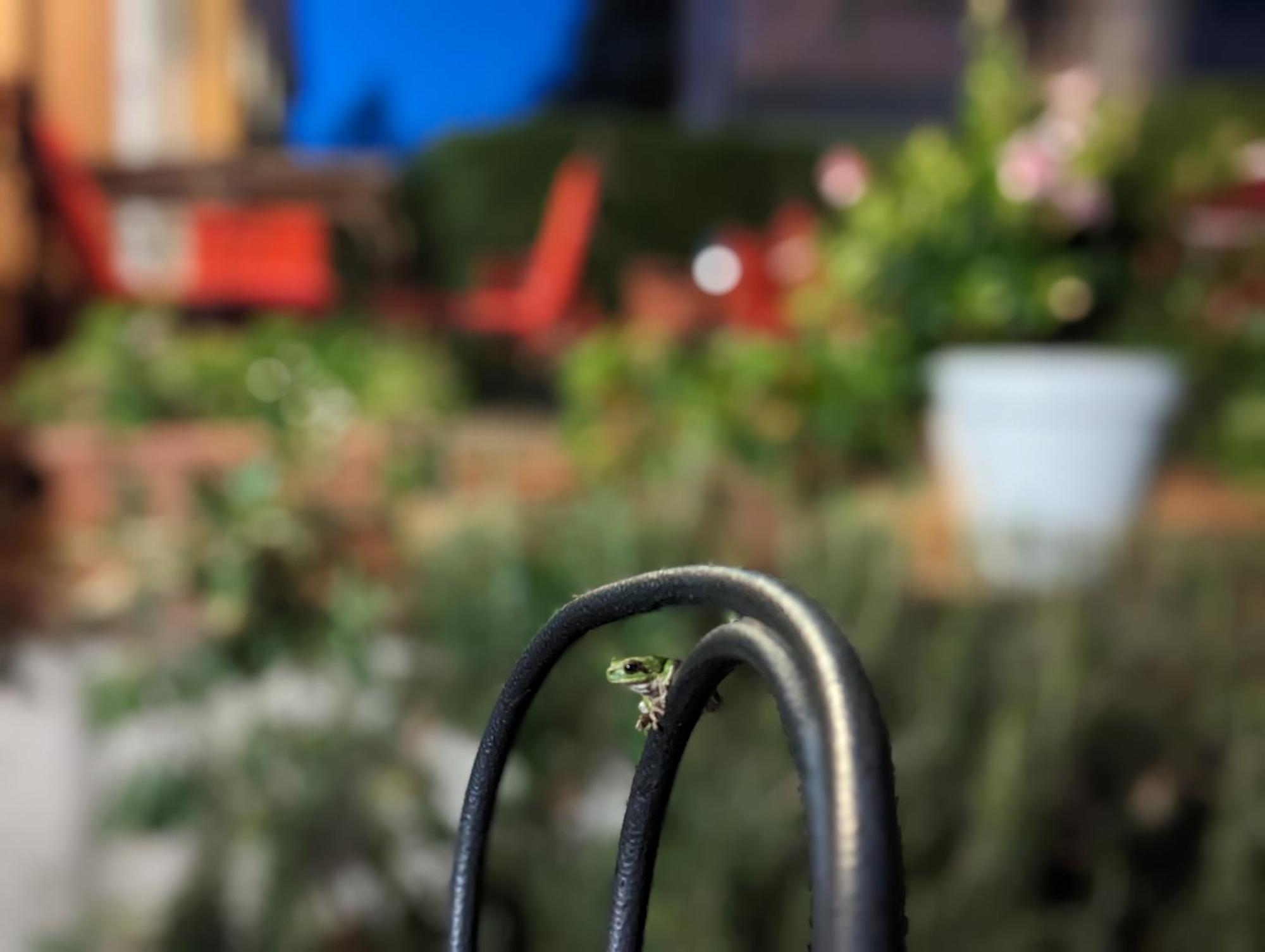 Hotel Capo Sud Лакона Екстериор снимка