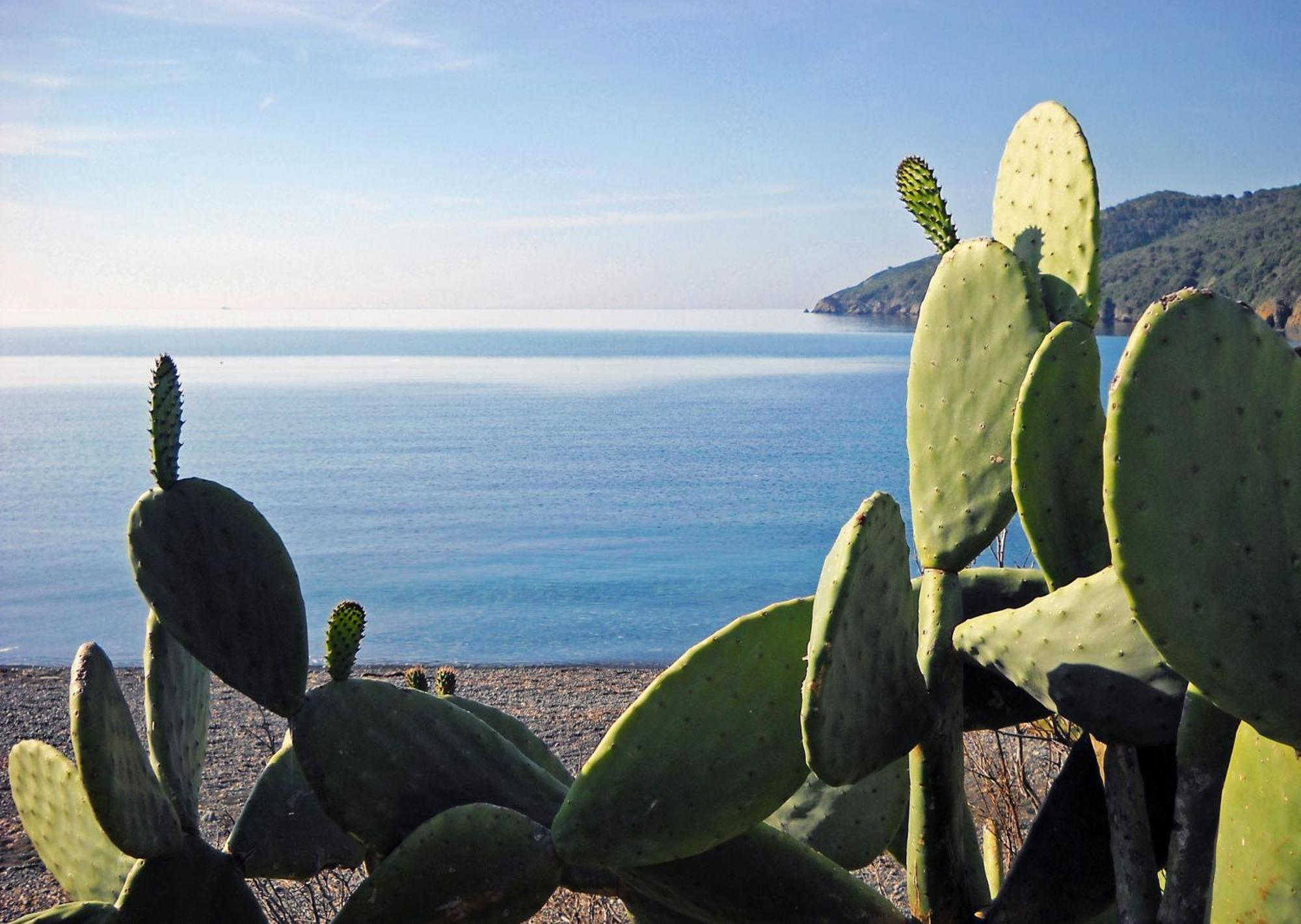 Hotel Capo Sud Лакона Екстериор снимка